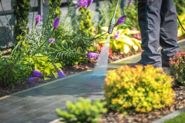  Indio, CA Pressure Washing Pros